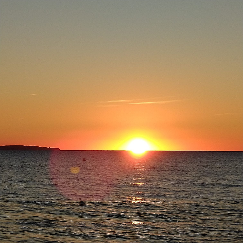 Profilbild von Nico Werle